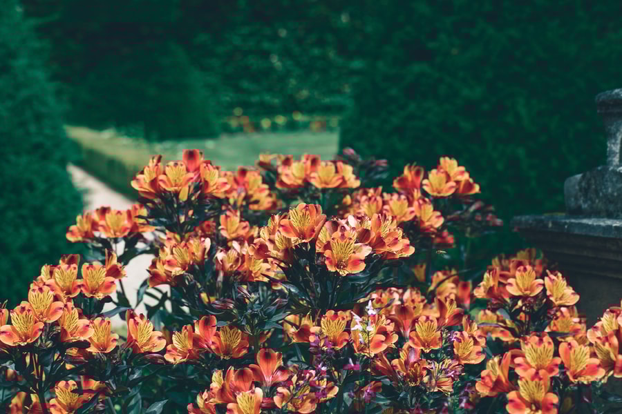 Image d'illustration 10